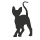 Cat Icon