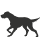 Dog Icon